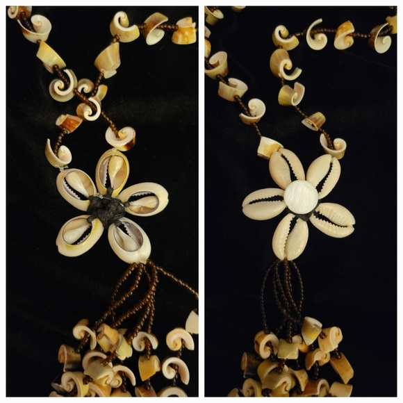 Shells , shells , and more shells - Picture 2 of 3